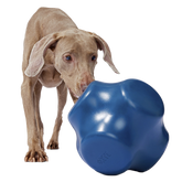 Bolder Super Chewer Durable Extra-Large Enrichment Dog Toy