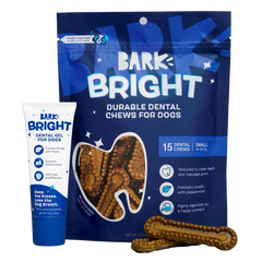 Bright Durable Dental Kit, 15 Ct Chews + Toothpaste