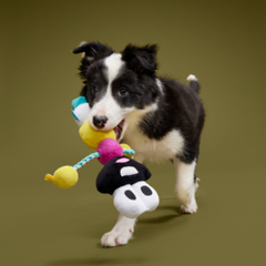 Mr. DNA Plush Tug Dog Toy