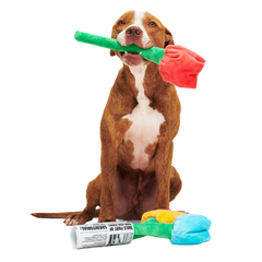 Cheer Up Boopquet Plush Tug + Multi-Part + Enrichment Dog Toy