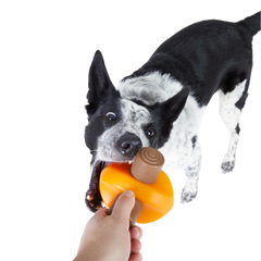 Chompfire Super Chewer Durable Gnaw Dog Toy
