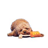 Corn Dog Tug Plush Rope Dog Toy