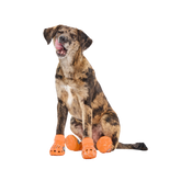 Crocs™ Shoes For Dogs (Copy)