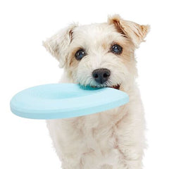 Liftoff Durable Super Chewer Fetch Dog Toy