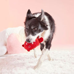 Bear Hugger Durable Super Chewer 2-in-1 Rip and Reveal + Enrichment Dog Toy