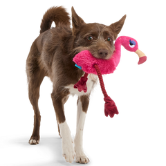 Fahari Flamingo Plush Tug Dog Toy