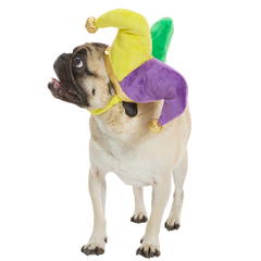 Fat Chewsday Hat Plush Wearable Tug Dog Toy