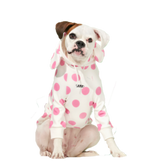 Spotted Elephant™ Dog Hoodie