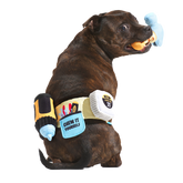 Fixer Pupper Tool Belt Plush Wearable Multi-Part Dog Toy