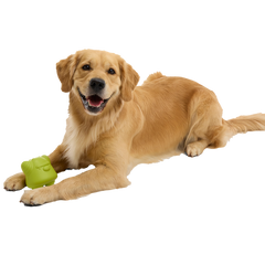 Goblin Booty Super Chewer Durable Gnaw Dog Toy