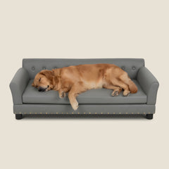 Heritage Dog Sofa - Ash