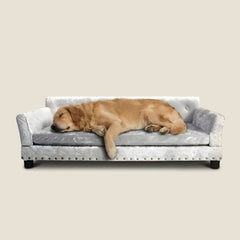 Heritage Dog Sofa - Slate