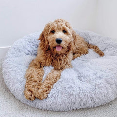Anti-Anxiety Calming Bed