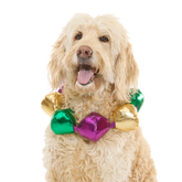 Mardi Growl Necklace Plush Wearable Tug Dog Toy
