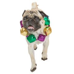 Mardi Growl Necklace Plush Wearable Tug Dog Toy