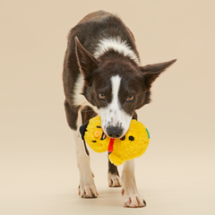 Mark The Yellow Snowman Plush Dog Toy