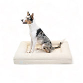 Medium Bouclé Orthopedic Dog Bed (Bolster, Cloud)