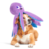 Mondo Ollie the Octopus Plush Tug + Extra-Large Dog Toy