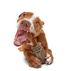 Nimbus 2000™ Durable Super Chewer Tug + Gnaw Dog Toy