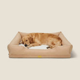 Oxford Orthopedic Bolster Dog Bed
