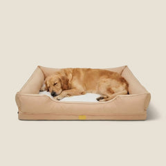 Oxford Orthopedic Bolster Dog Bed