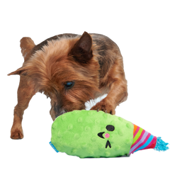 Party Pickle Pedro Tug Dog Toy