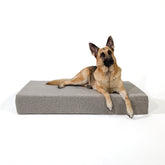 Large Bouclé Orthopedic Dog Bed (Cushion, Sand)