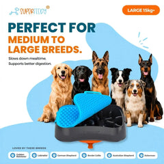 4-in-1 Slow Feeding System | Super Feedy