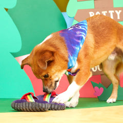 Bandana-Rama Yip Flops & Bandana Plush Multi-Part Dog Toy