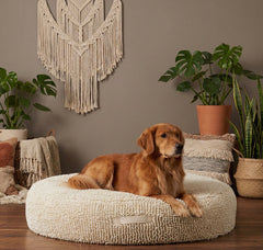 Large Snoozy Bed - Calming Orthopedic Donut Dog Bed (Cream Towel)