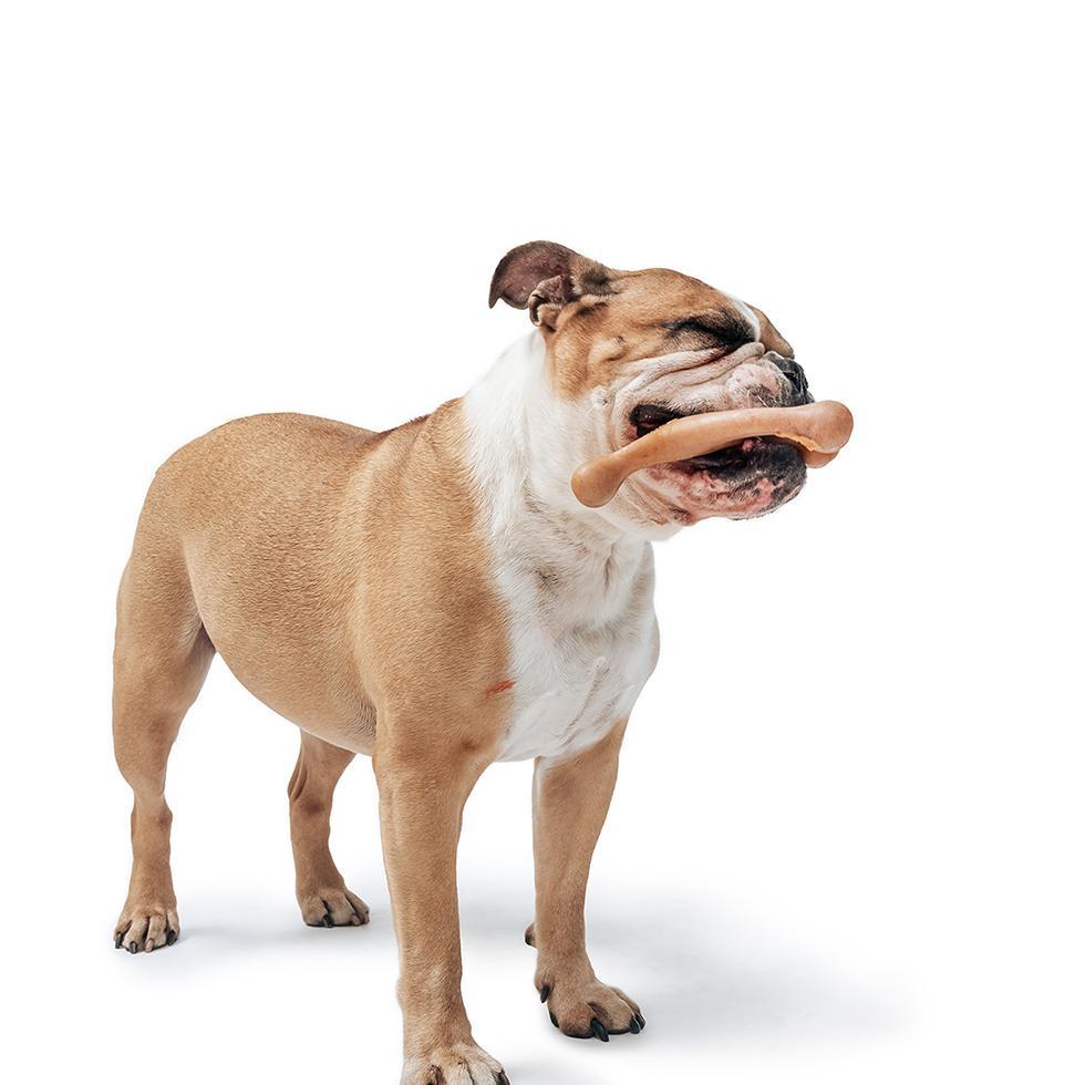 Super Chewer
