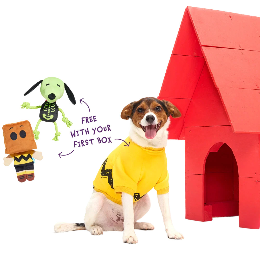 Pupzilla Collection