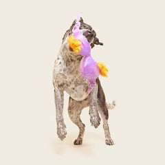 Bite the Patriarchy Plush Tug Dog Toy