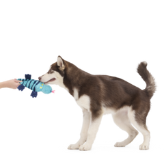 Megalania Meg Plush Dog Toy
