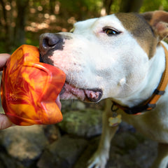 Mighty Maple Leaf Durable Super Chewer Gnaw Dog Toy