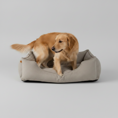 Chester & Lee | Fancy Corduroy Sleeper Dog Bed Taupe