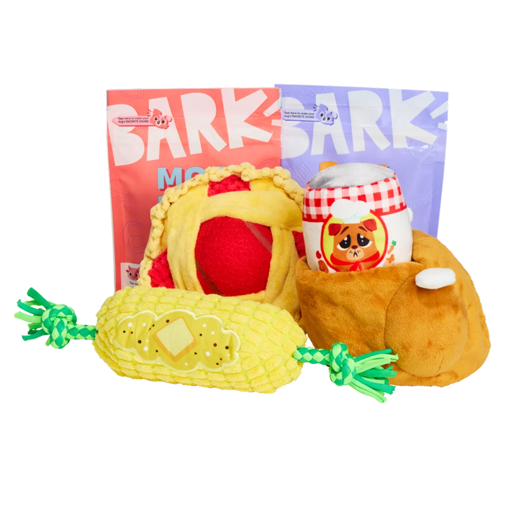 Bark 12 Month Subscription - Free Extra Toys With Cardboard Box