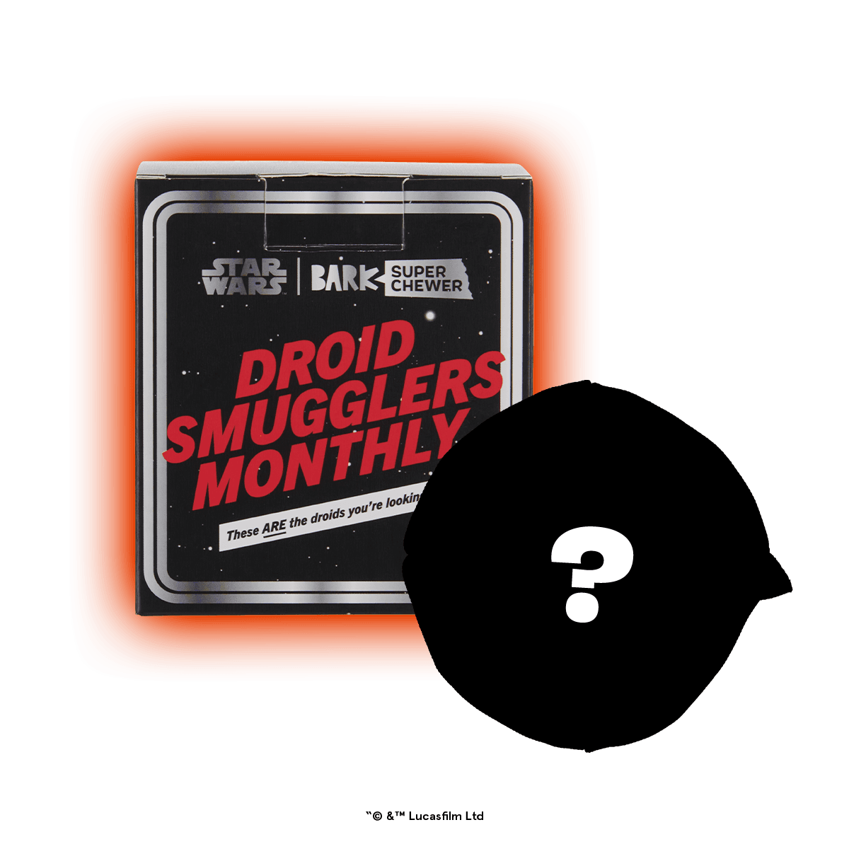 Star Wars™ Droid Smugglers Club, Super Chewer Durable Monthly Dog Toys
