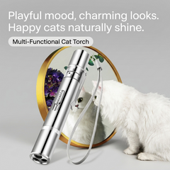 3-in-1 Laser Pet Toy & UV Flashlight Pen
