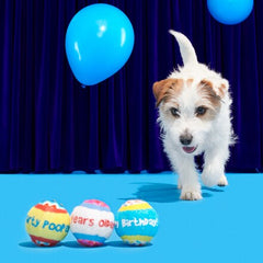 Party Fetchers 3 Squeaky Tennis Balls