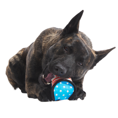 Base Brawl Super Chewer Durable 2-in-1 Fetch Dog Toy