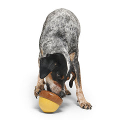 Acornucopia Durable Super Chewer Enrichment Dog Toy