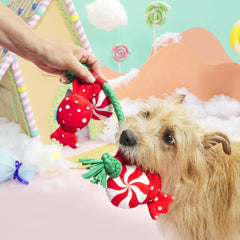 Puppermint Sweeties Plush Tug Dog Toy