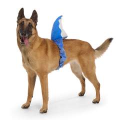 Bark Fin Plush Tug + Wearable Dog Toy