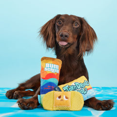 Drool Pool Packup Plush Multi-Part Dog Toy