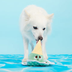 Melty Minty Monty Plush Tug Dog Toy