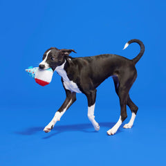 Liberty Cone Plush Fetch Dog Toy