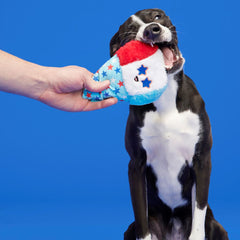 Liberty Cone Plush Fetch Dog Toy