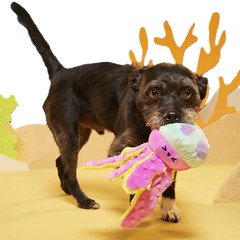 Jellysquish Plush Tug Dog Toy