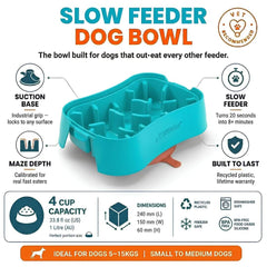 Slow Feeder Bowl for Small Dogs | Super Feedy